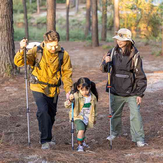 Трекінгова палиця 3-сек. Naturehike Men ST 01 6061 AL NH17D001-Z, алюміній,  синя Киев