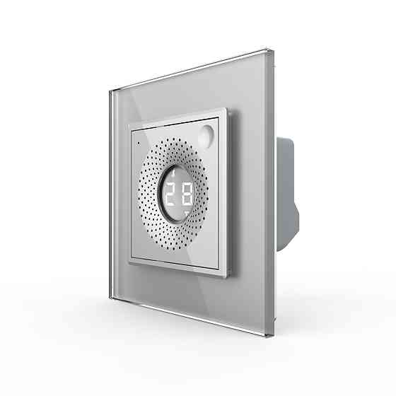 Термометр-гігрометр LIVOLO, 230В, сірий Коломыя