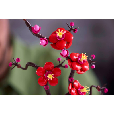 Конструктор LEGO Icons Сливовый цвет 327 деталей (10369) Винница - изображение 2