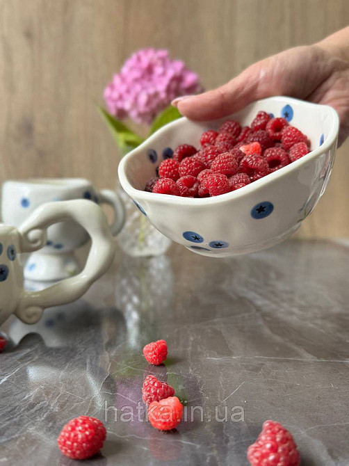 Салатник піала Olens "Лохина" 300 мл кераміка 8030-413 Київ - фото 2