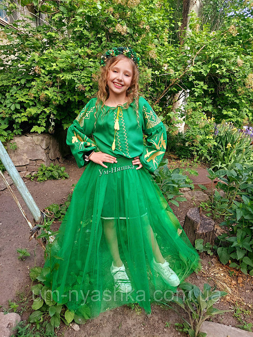 Дитяча вишита сукня з ластівками 104-152 Кривой Рог - изображение 7