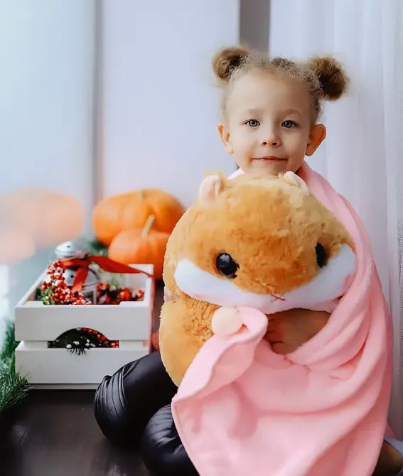 Коричневый Плед-хомяк 3 в 1, Плед, Игрушка, Подушка Коломыя - изображение 3