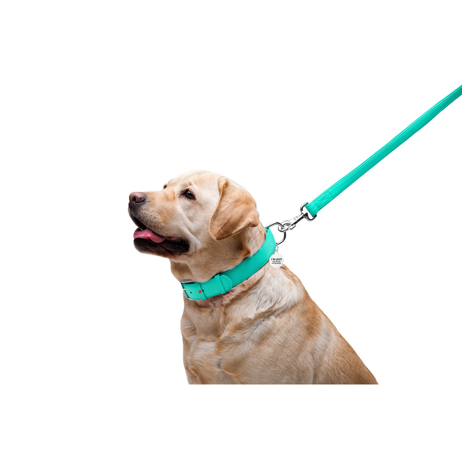 Повідець для собак шкіряний WAUDOG Glamour, Ш 25 мм, Дов 122 см ментоловий Коломия - фото 4