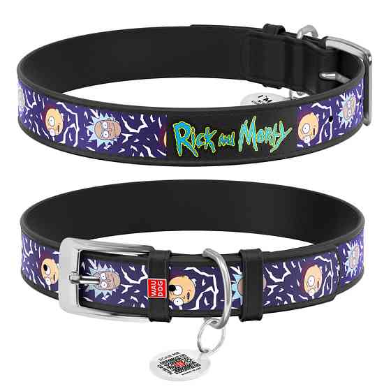 Нашийник для собак шкіряний WAUDOG Design з QR-паспортом, малюнок "Рік і Морті 2", XS, Ш 12 мм, Д 20-28 см, Вінниця