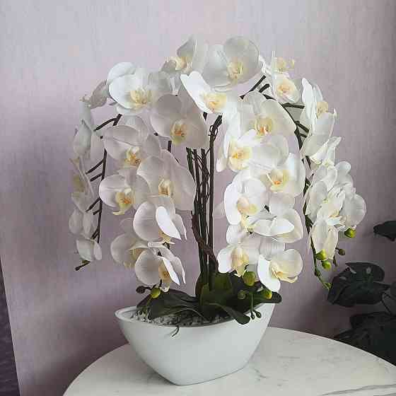 Штучна латексна орхідея преміум у білому керамічному кашпо на п'ять гілок біла Дніпро