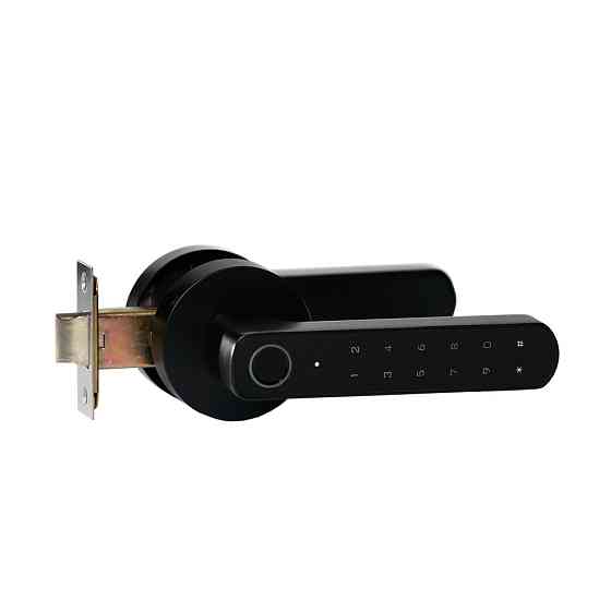 Замок біометричний автономний Trinix TRL-5205BTF Tuya Black з Bluetooth і зчитувачем відбитків пальців (65-00068) Киев