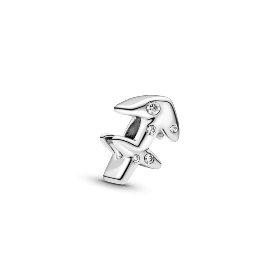 Серебряный Шарм 798419C01MasterSem Киев