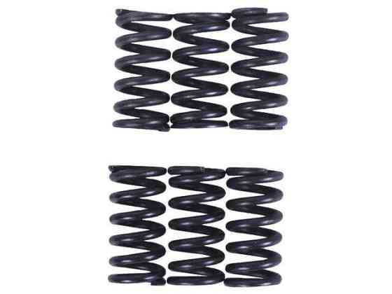 Пружини натискного диска, к-т: 6 шт. - MFC Мукачево