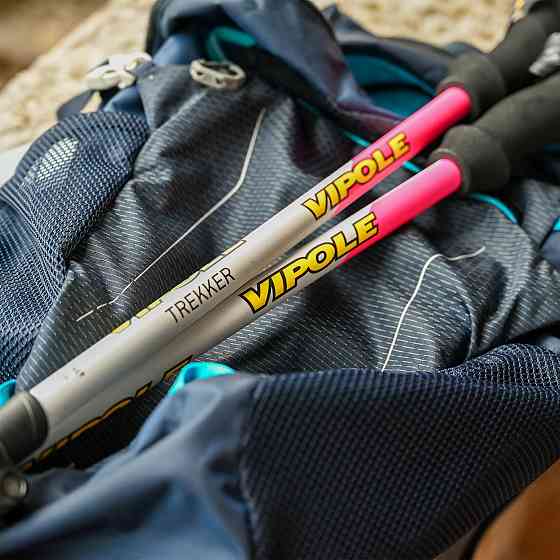 Палки трекинговые Vipole Trekker Violet (S25 11) Вінниця