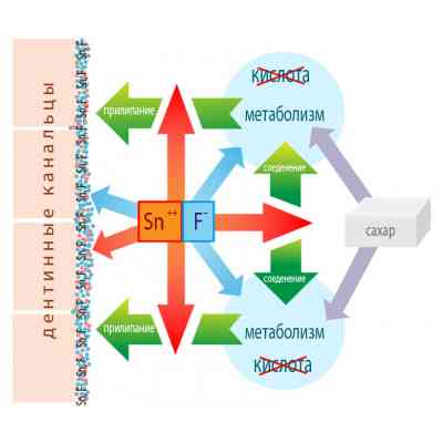Зубна паста Dr. Wild Emofluor Daily Care зі стабілізованим фторидом олова 75 мл (7611841701686) Вінниця