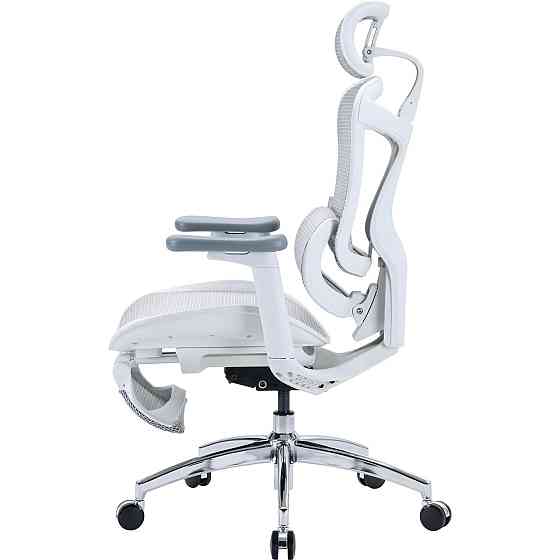 Кресло офисное Sihoo Doro C300L Mesh White with footrest (Doro-C300L-A3-102-JT) ( 14112 ) Харьков
