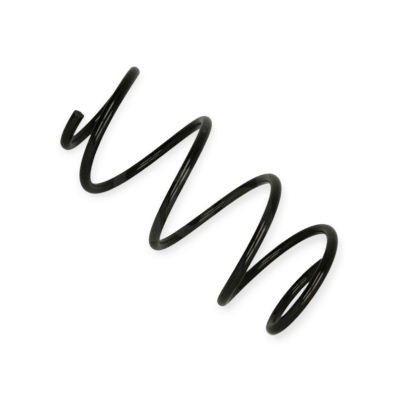 Пружина Renault Laguna III 1.5dC, 1.6-2.0 (07-15) передняя Мукачево - изображение 1