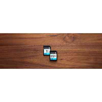 Карта памяти Kingston 256GB SDXC сlass 10 UHS-I U3 V30 Canvas Go Plus G4 (SDG4/256GB) Винница