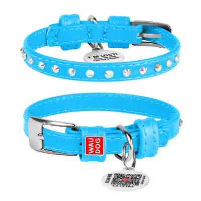 Ошейник для животных WAUDOG Glamour с QR-паспортом со стразами XS Ш 12 мм Д 21-29 см голубой (32682) Винница