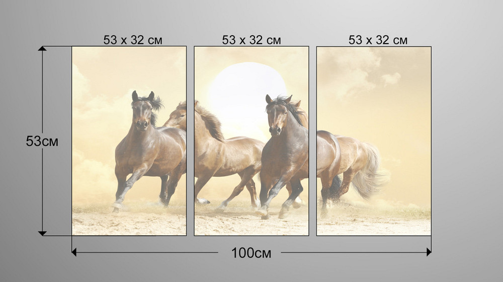 Модульна картина Коні Аrt-119_3А Київ - фото 3