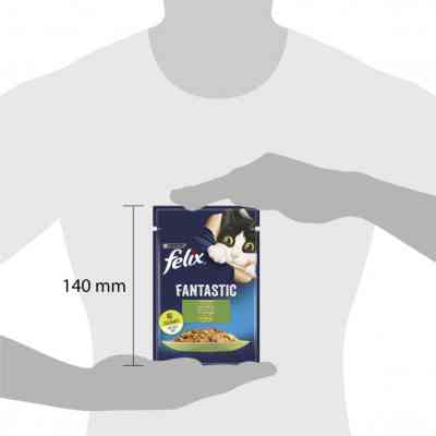 Влажный корм для кошек Purina Felix Fantastic с кроликом в желе 85 г (7613039835500) Винница