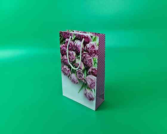 Бумажный пакет подарочный Средний 17/26/8 (артSV-100) (12 шт) Харьков