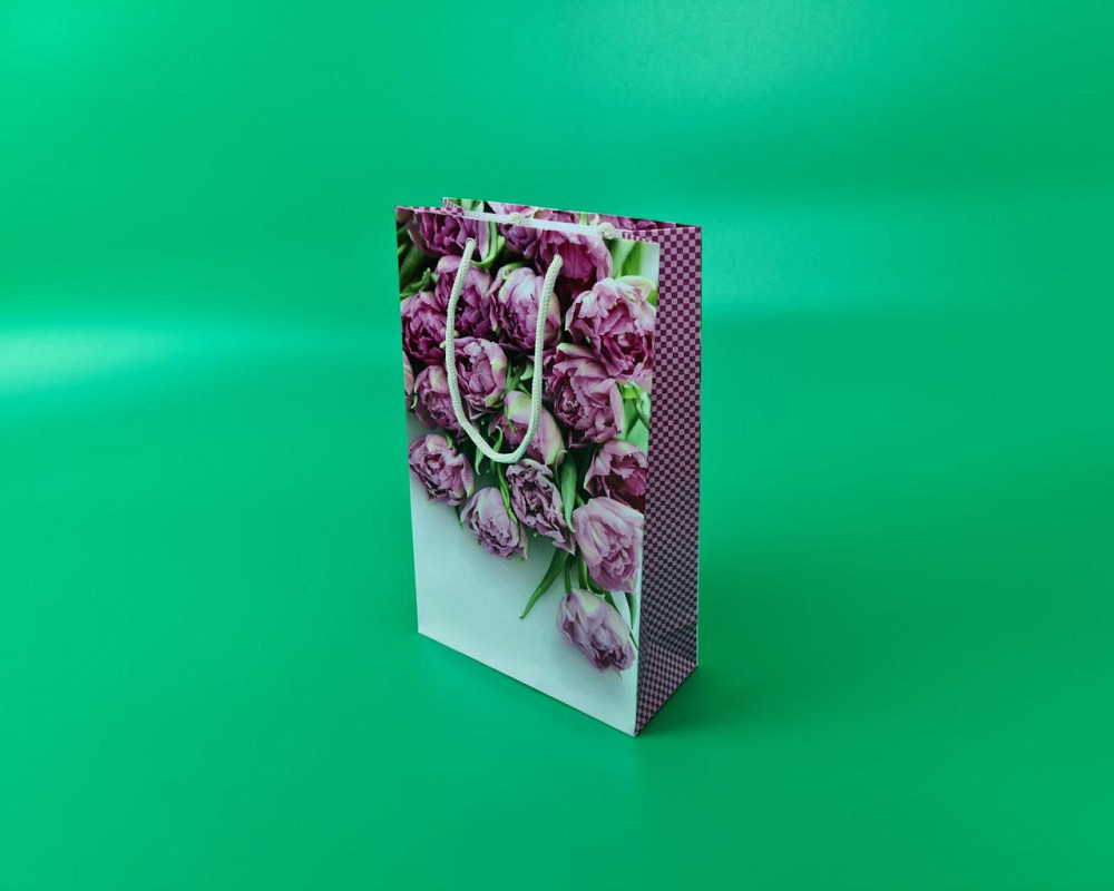 Бумажный пакет подарочный Средний 17/26/8 (артSV-100) (12 шт) Харьков - изображение 1