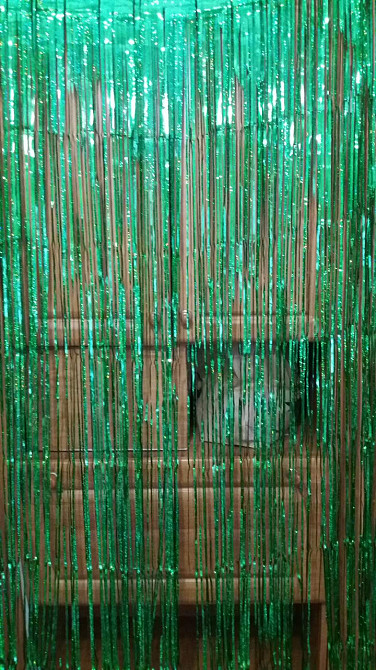 Дождик на фотозону праздничный с голограммой 2 м на 1 м зеленый Киев - изображение 4