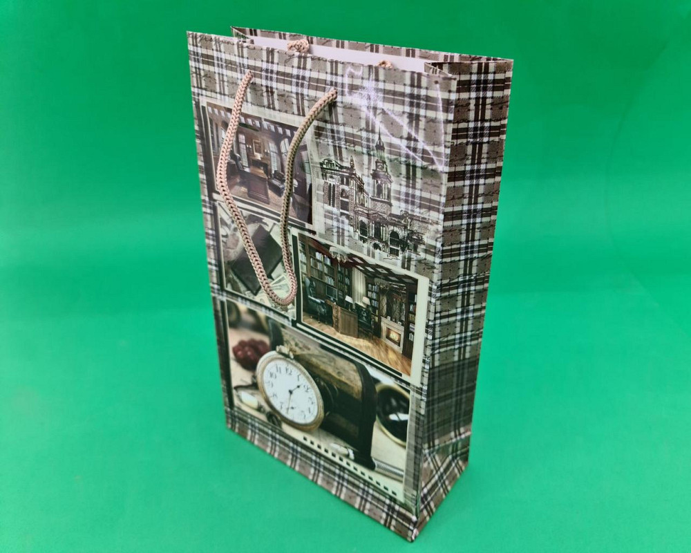 Паперовий пакет подарунковий Середній 17/26/8 (артSV-138) (12 шт.) Харків - фото 1