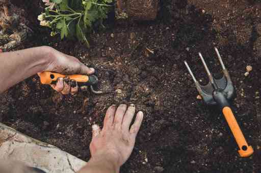 Садовий совок Fiskars 'Premium Planters" (137200/1000726) Нововолинськ