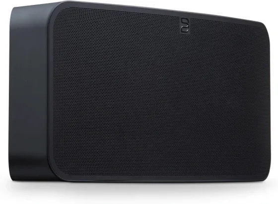 Портативная колонка Bluesound PULSE 2i czarny Киев