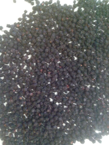 Черника (ягода), 500г. MasterSEM Киев - изображение 1