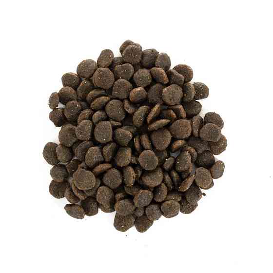 Корм сухой Brit Care Grain Free Mini Yorkshire для йоркширских терьеров с лососем и тунцом 400 г. Киев