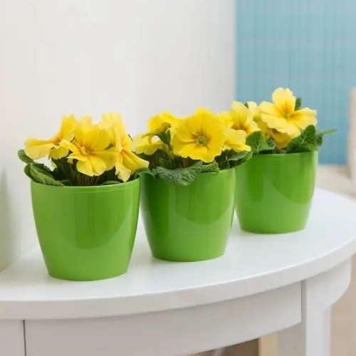 Вазон Магнолія 18см 3л світло-зелений Ламела Житомир