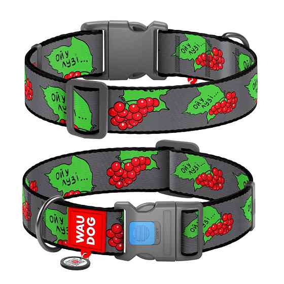 Нашийник для собак нейлоновий WAUDOG Nylon з QR-паспортом, малюнок "Каліна", пластиковий фастекс, XXL, Ш 35 мм, Вінниця