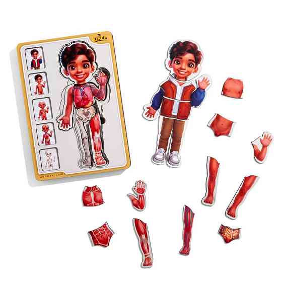 Дерев'яний пазл-вкладиш "Анатомія людини - хлопчик-2" (ПСД261) PSD261 будова тіла Вінниця