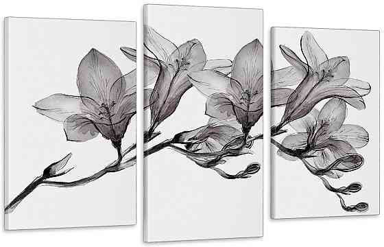 Модульная картина в гостиную / спальню Квіти  Art-598_3 100x150 см Киев