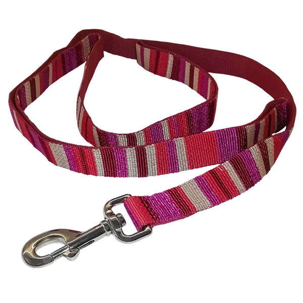 Coastal Pet Attire Weave КОСТАЛ повідець для собак, 2.5смХ1.2м Київ - фото 1