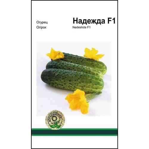 Семена огурца Надежда F1 20 сем., Seminis, Голландия Винница