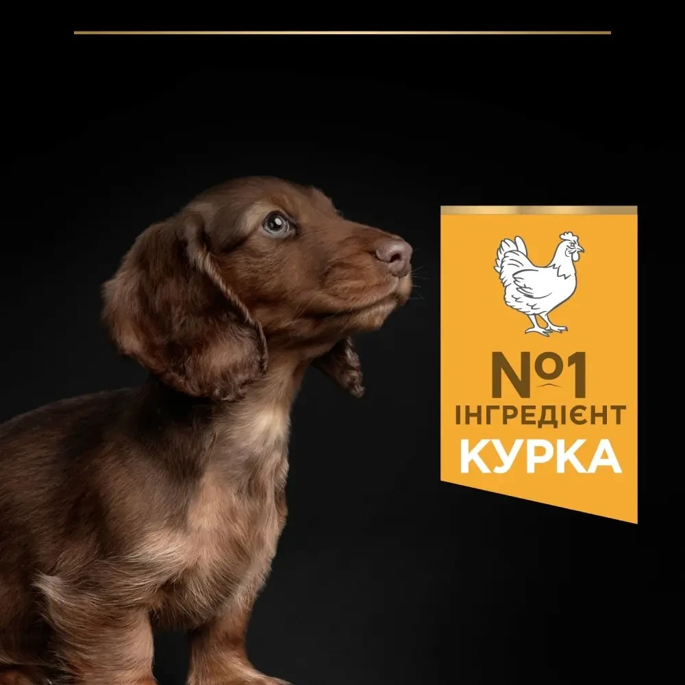 Сухий корм PRO PLAN Small & Mini Puppy  Київ - фото 5