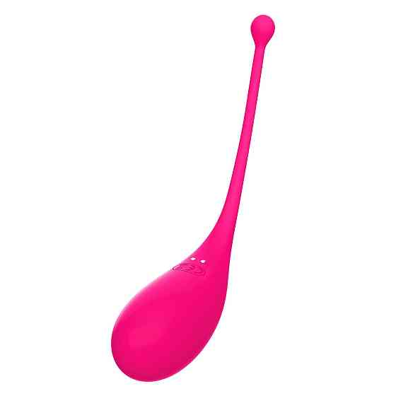 Смарт виброяйцо-стимулятор Adrien Lastic Palpitation универсальный, розовый Sex Aura Киев