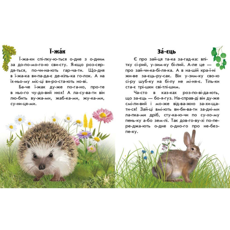 Читаю про Украину по слогам 