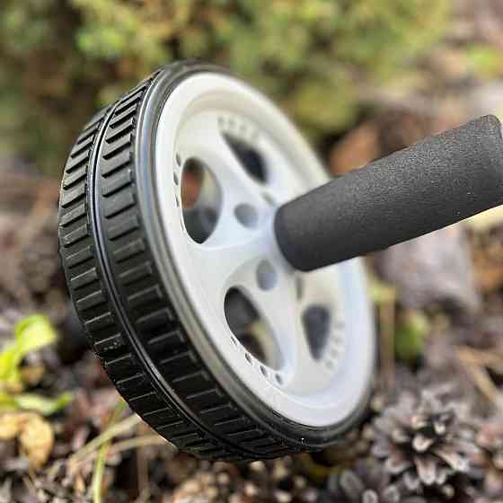 Колесо для преса PowerPlay PP-4345 Exercise Wheel (d16.5cm.) Сіре Київ