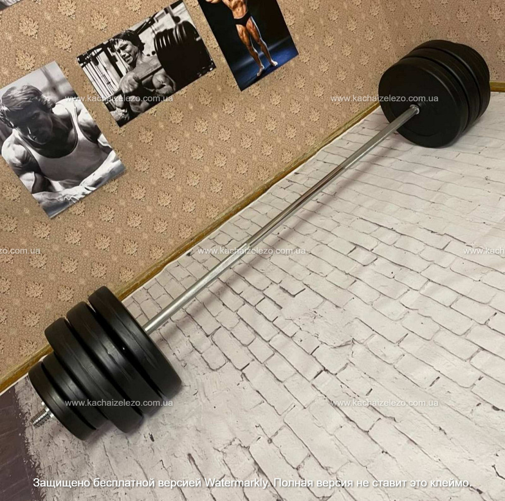 Штанга наборная на 90 кг Гантели, гири, штанги и диски в ударостойком пластике Киев - изображение 7