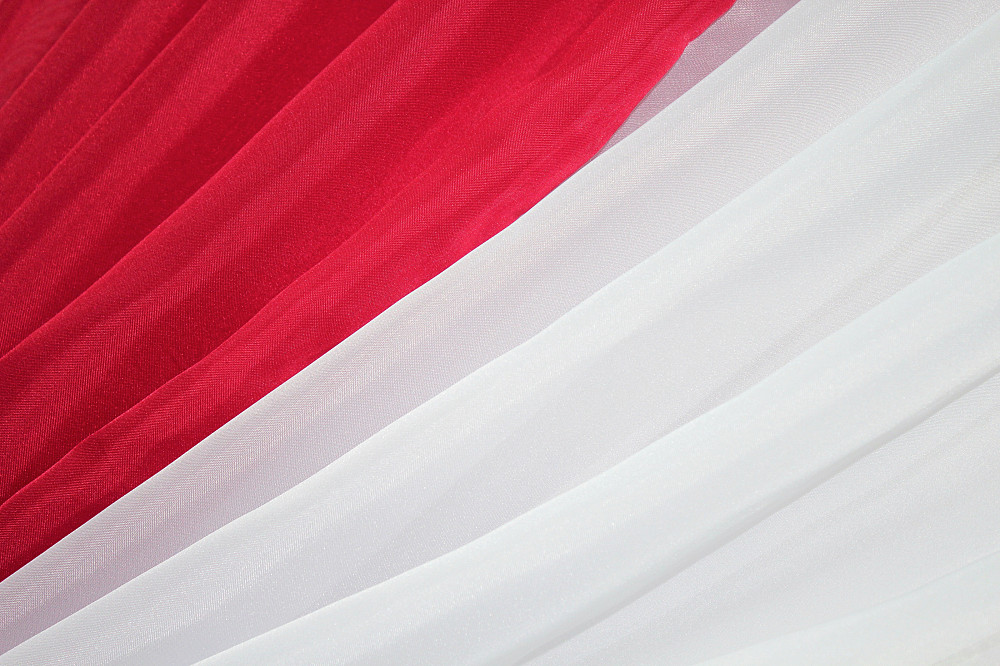 Кухонные шторки VR-Textil № 096к с подвязками красный с белым 400х170 см (50-806) Киев - изображение 4