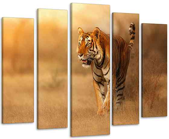 Модульная картина Природа Тигр Art-172_5 Киев