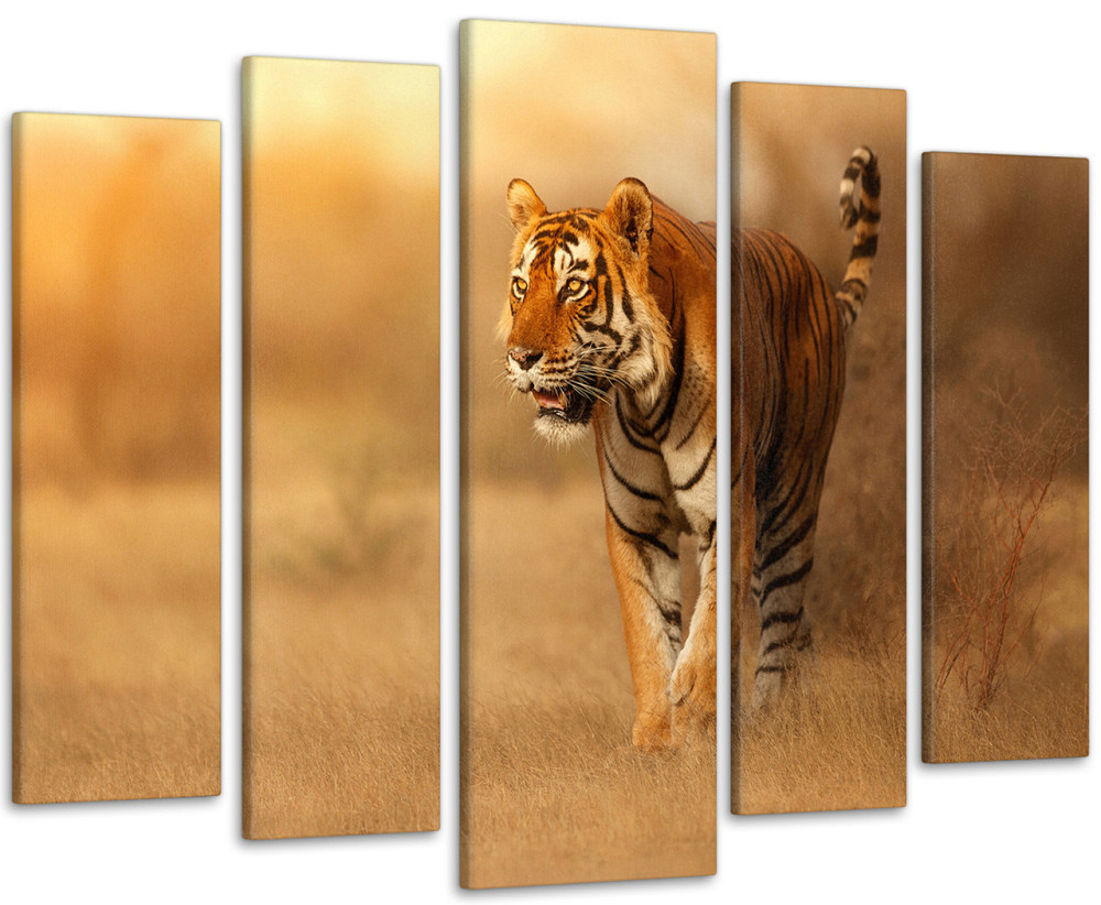 Модульна картина Природа Тигр Art-172_5 Київ - фото 1