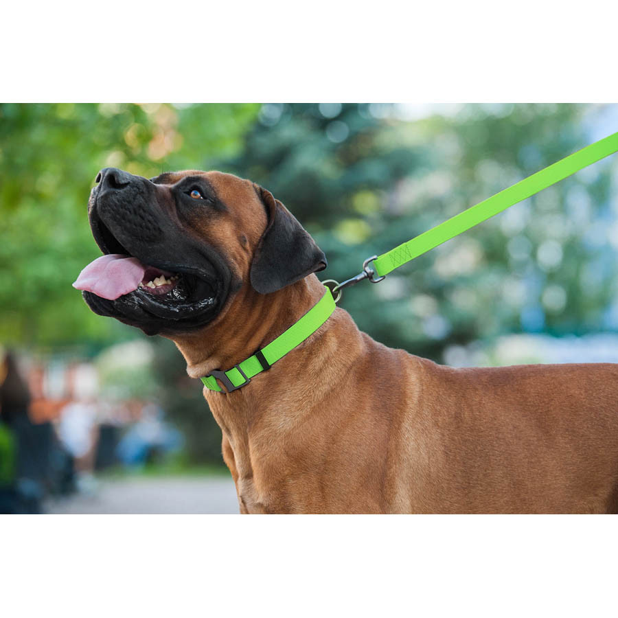 Повідець для собак водостійкий WAUDOG Waterproof, L-XXL, Ш 25 мм, Дов 122 см салатовий Коломия - фото 2