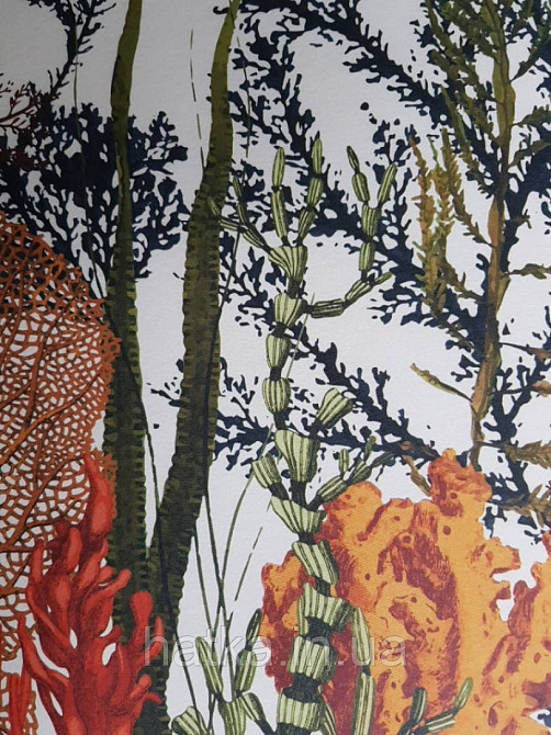 Обои виниловые  Lutece Bensimon панно 260х350 см панно море водный мир аквариум кораллы водоросли на белом Киев - изображение 3