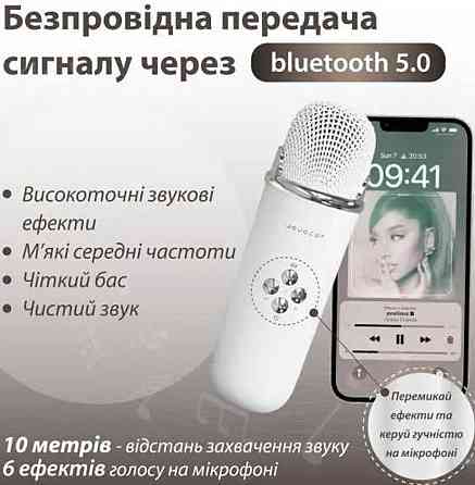 Колонка з мікрофоном PlatinumC-20 BT/TF/USB/FM Киев