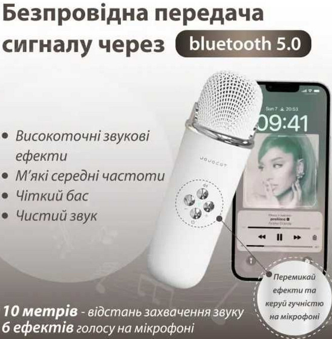 Колонка з мікрофоном PlatinumC-20 BT/TF/USB/FM Киев - изображение 2