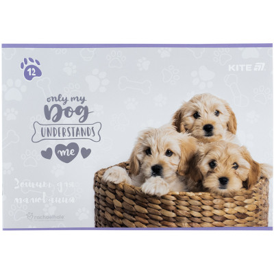 Альбом для рисования Kite Rachael Hale, 12 листов (R25-241) Винница - изображение 7