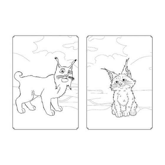 Розмальовка Магія кольору. Магічний Ліс Ранок 1807003 з наклейками Вінниця