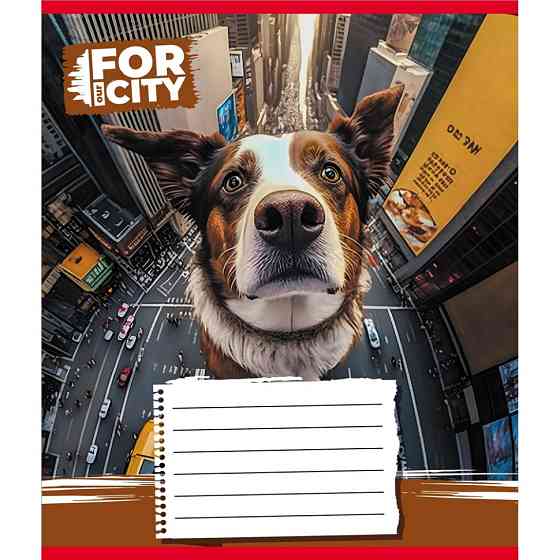 Зошит учнівський "Собака в місті" 024-560077L-5 в лінію, 24 аркуші Вінниця