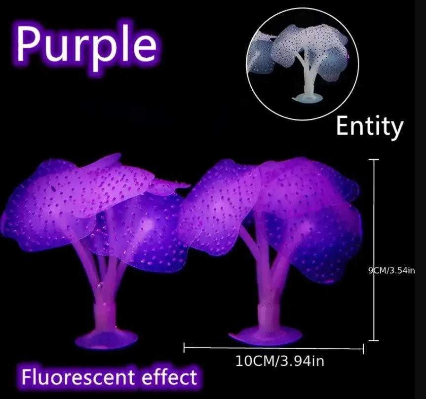 Яскравий декор в акваріум - Морський гриб Київ - фото 1